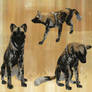 African Wild Dog Preset