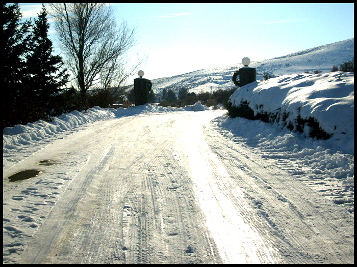 Driveway