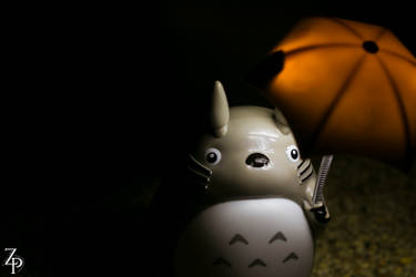 Totoro and his umbrella.