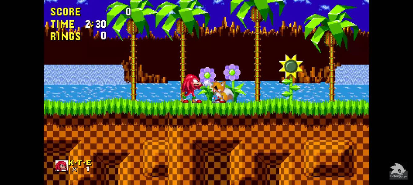 It was at this moment that Knuckles knew.......... by ...