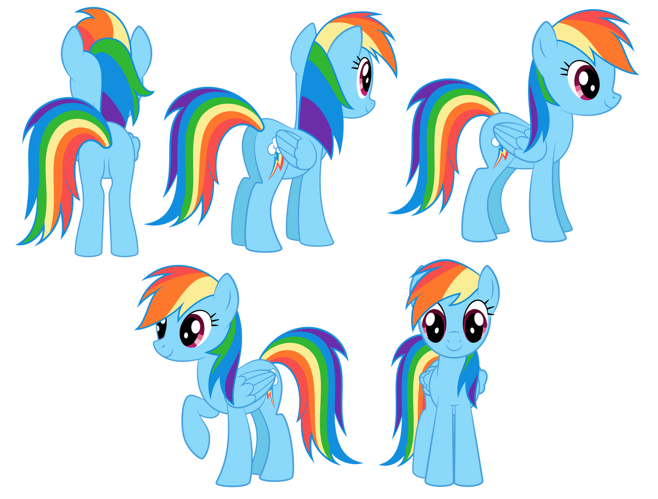 Rainbow Dash - reference by Culu-Bluebeaver on DeviantArt