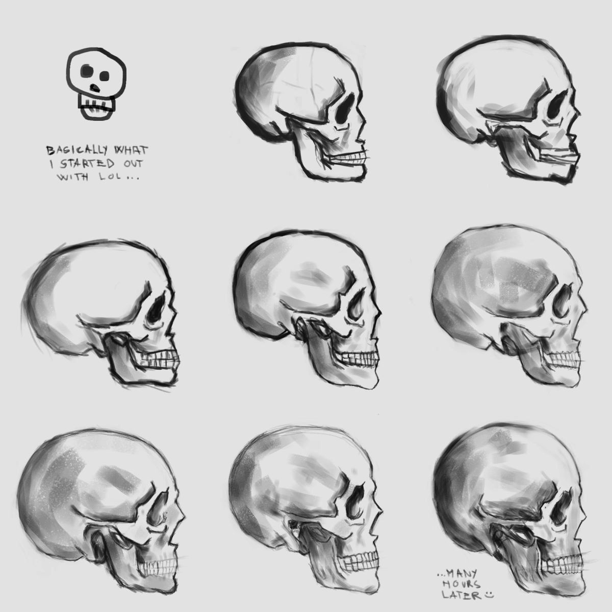 Human skull study, 4 hours