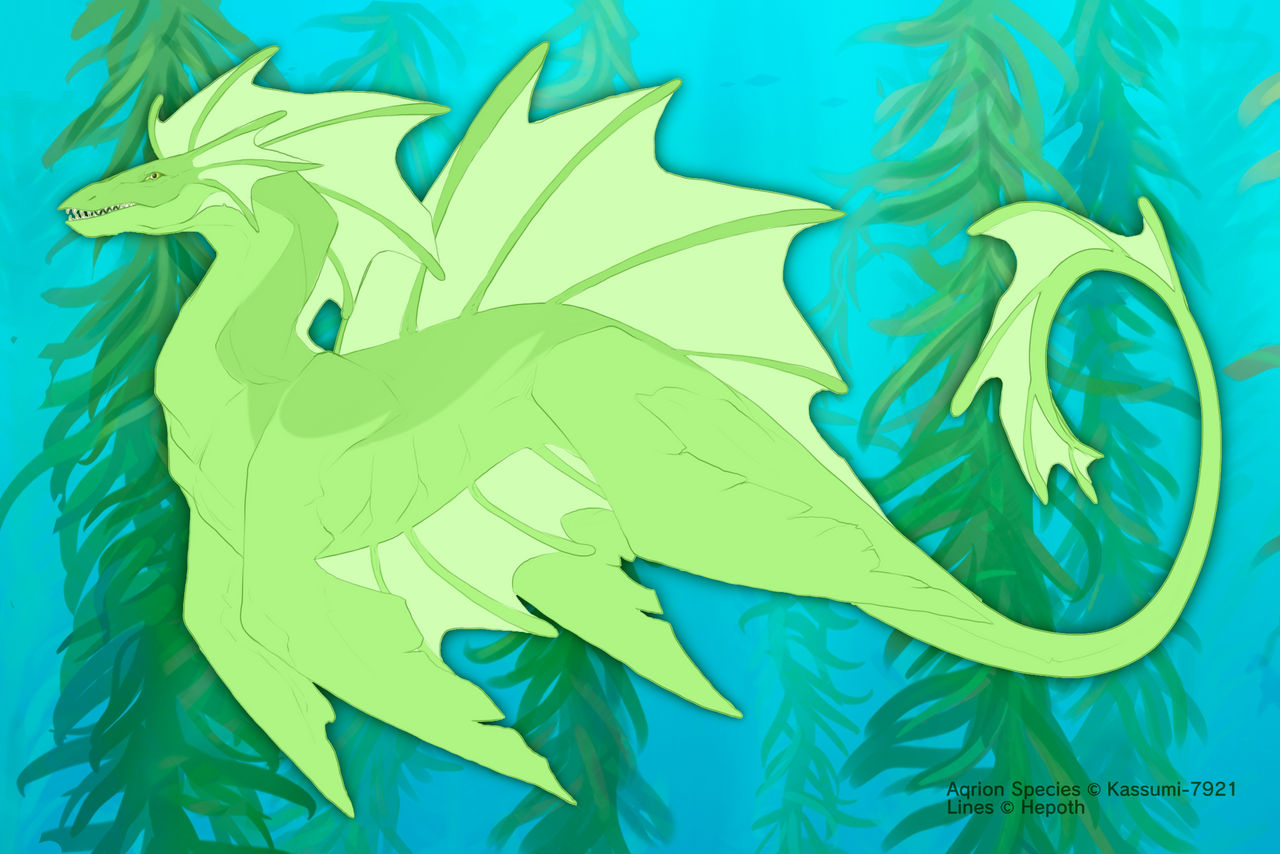 Kelpie 0092