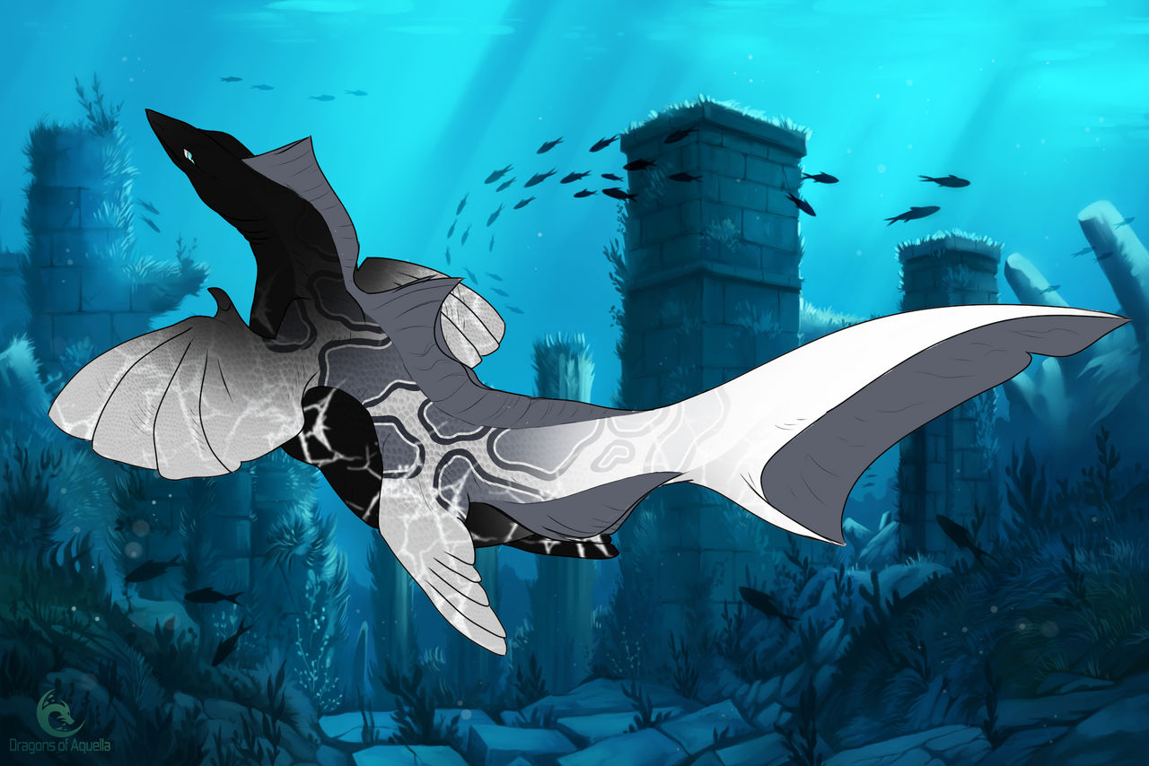 Starter - Halcyon 0243