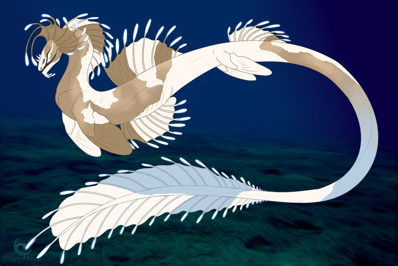 Jinpachi 0285