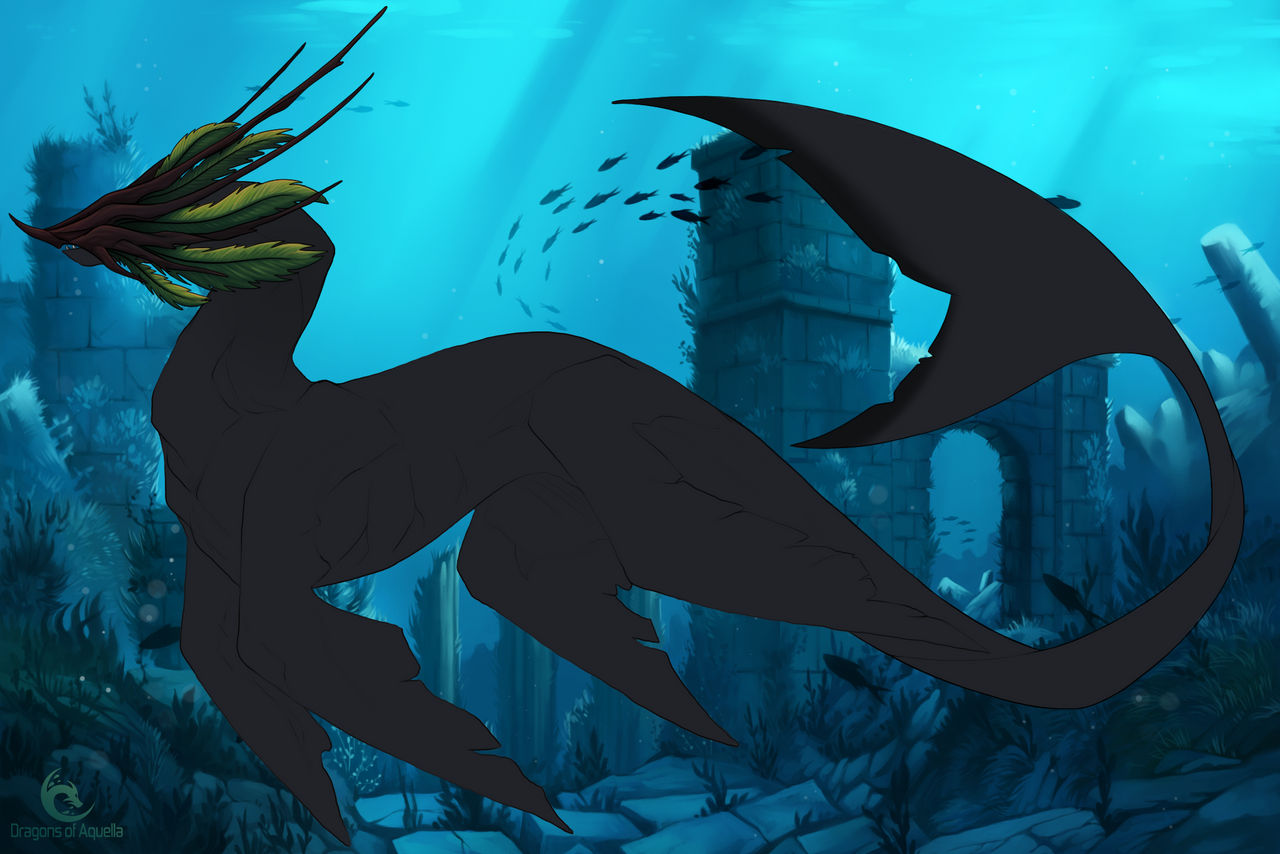 Fern 0619