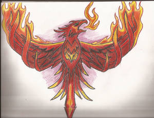 Phoenix