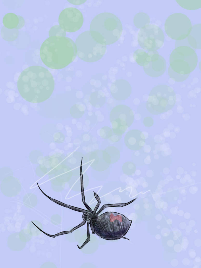 (Pen and ink) Spider by LeGothKid on DeviantArt