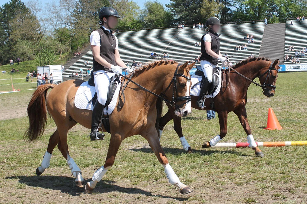 German Riding Crops German Riding Pony - Chestnut Sabino Dun - English by OrleanTribute on ...