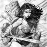 Wonder Woman - Insurrection - Modified