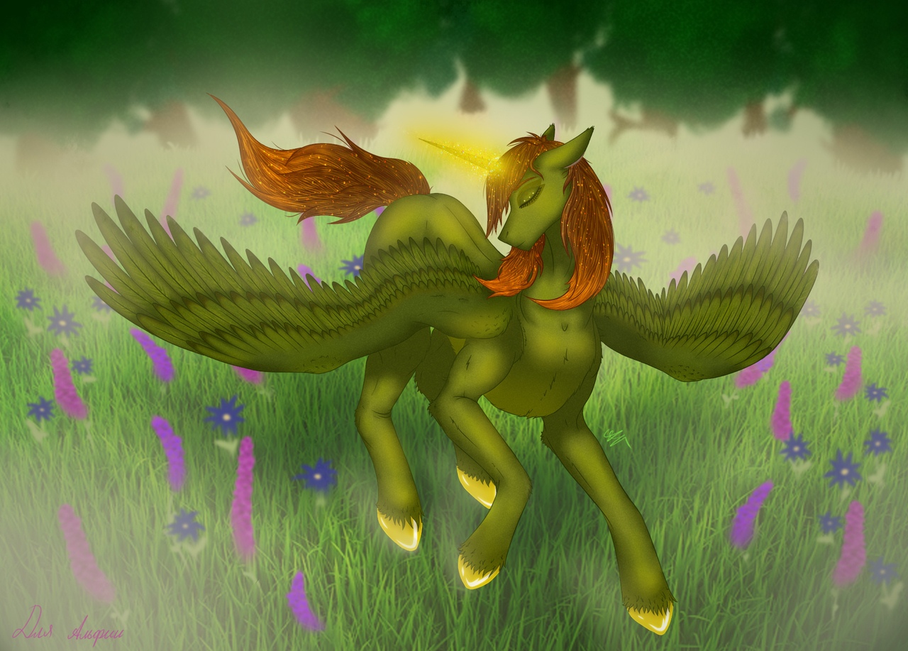 Princess of the forest