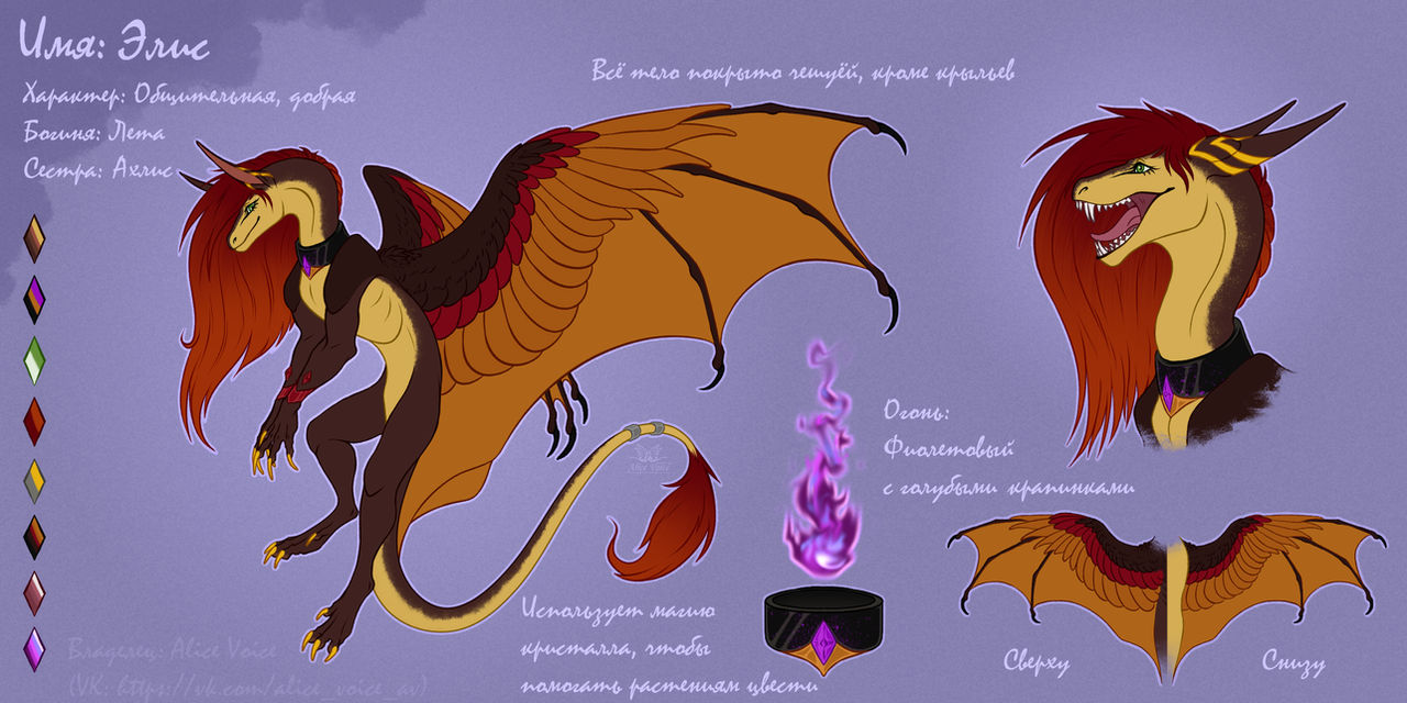 New Reference - Alice