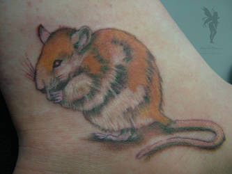 Rat Tat