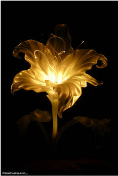 The Golden Flower