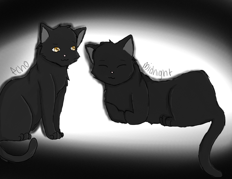 Echo and Midnight