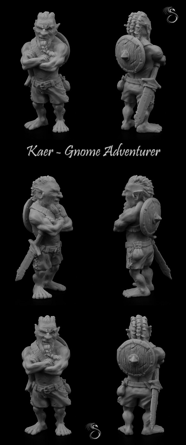 Kaer - Gnome Adventurer