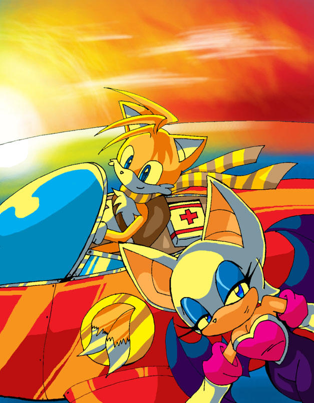 flying high - Tails and Rouge by jmynstyx on DeviantArt
