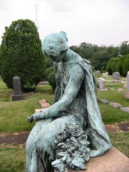 SilverStock: Cemetery Damsel 5