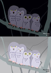 Owls - Tints and Shades