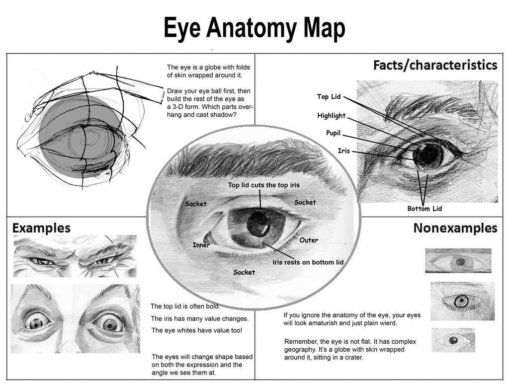 Eye Anatomy Map by aaronverzatt