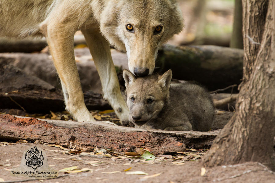 Mom and child