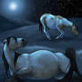 Moonlight Foaling