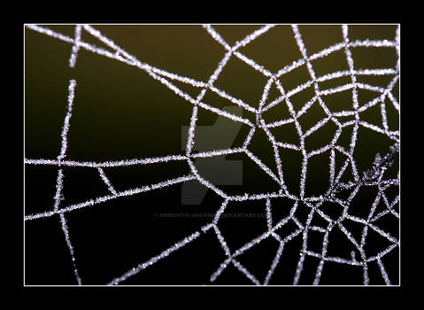 Frozen Cobweb II