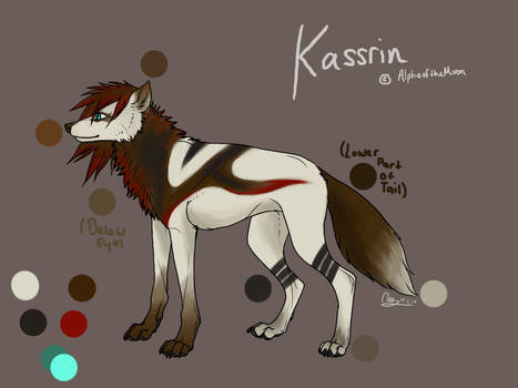 Kassrin redesign with colour refs