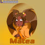 Matea
