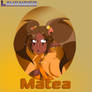Matea