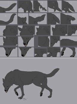 Updated line for wolf/dog
