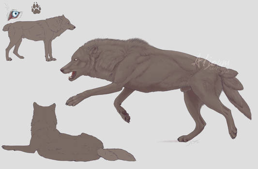 Line for wolf/dog