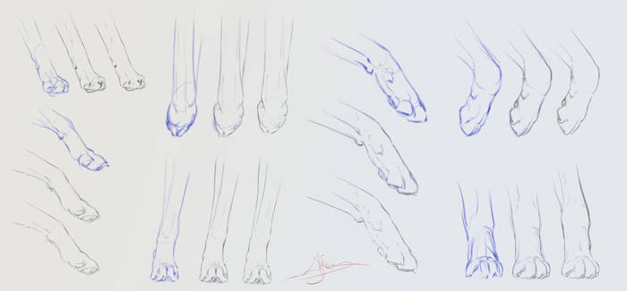 Tutorial on drawing paws