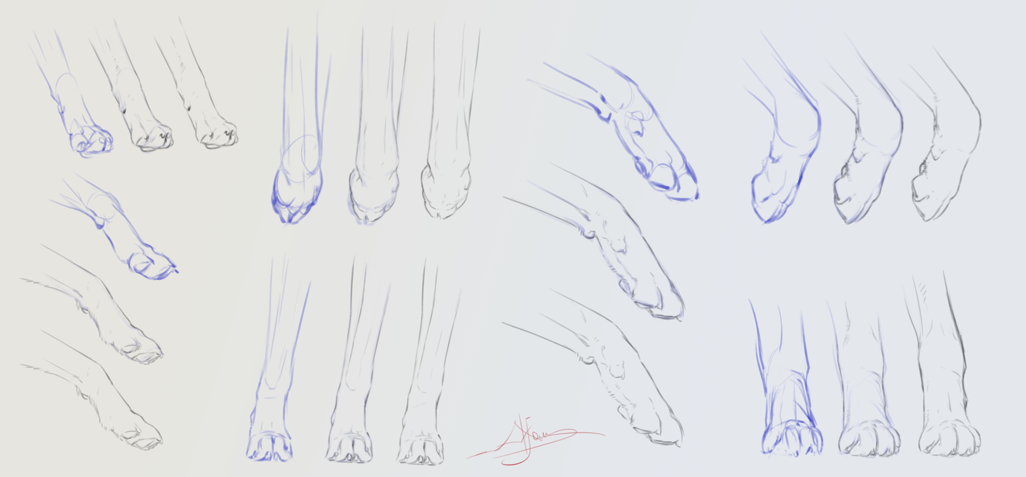 Tutorial On Drawing Paws By Aljoum On Deviantart Tutorial On Drawing Paws By Aljoum On Deviantart