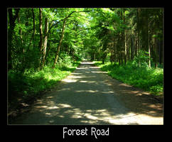 Forest Road