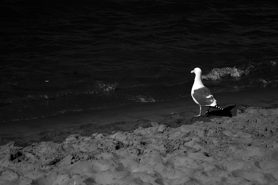 Going for a Dip