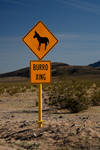 Burro Crossing by dpierce1313