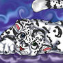 Hilali the snow leopard