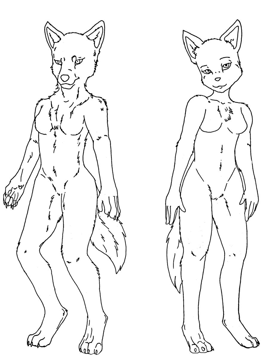 Female wolf anthro