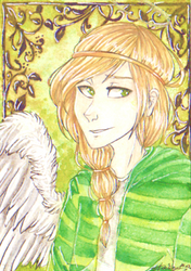 ACEO - Aariel 