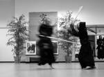 Kendo VI by feese