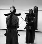 Kendo VIII by feese