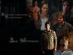 Sam Wallpaper 5 by angiezinha