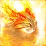 Fire Cat