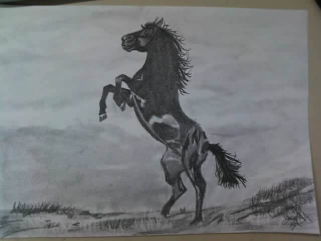 Horse