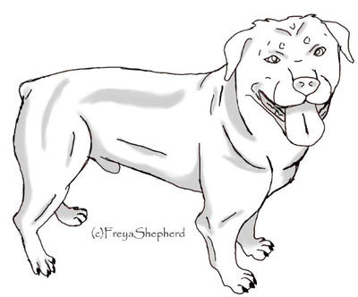 Rottweiler Lineart by FreyaShepherd on DeviantArt