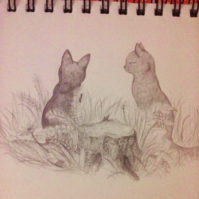 Cat Realism- WIP