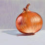 Onion