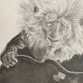 Clay Calloway drawing
