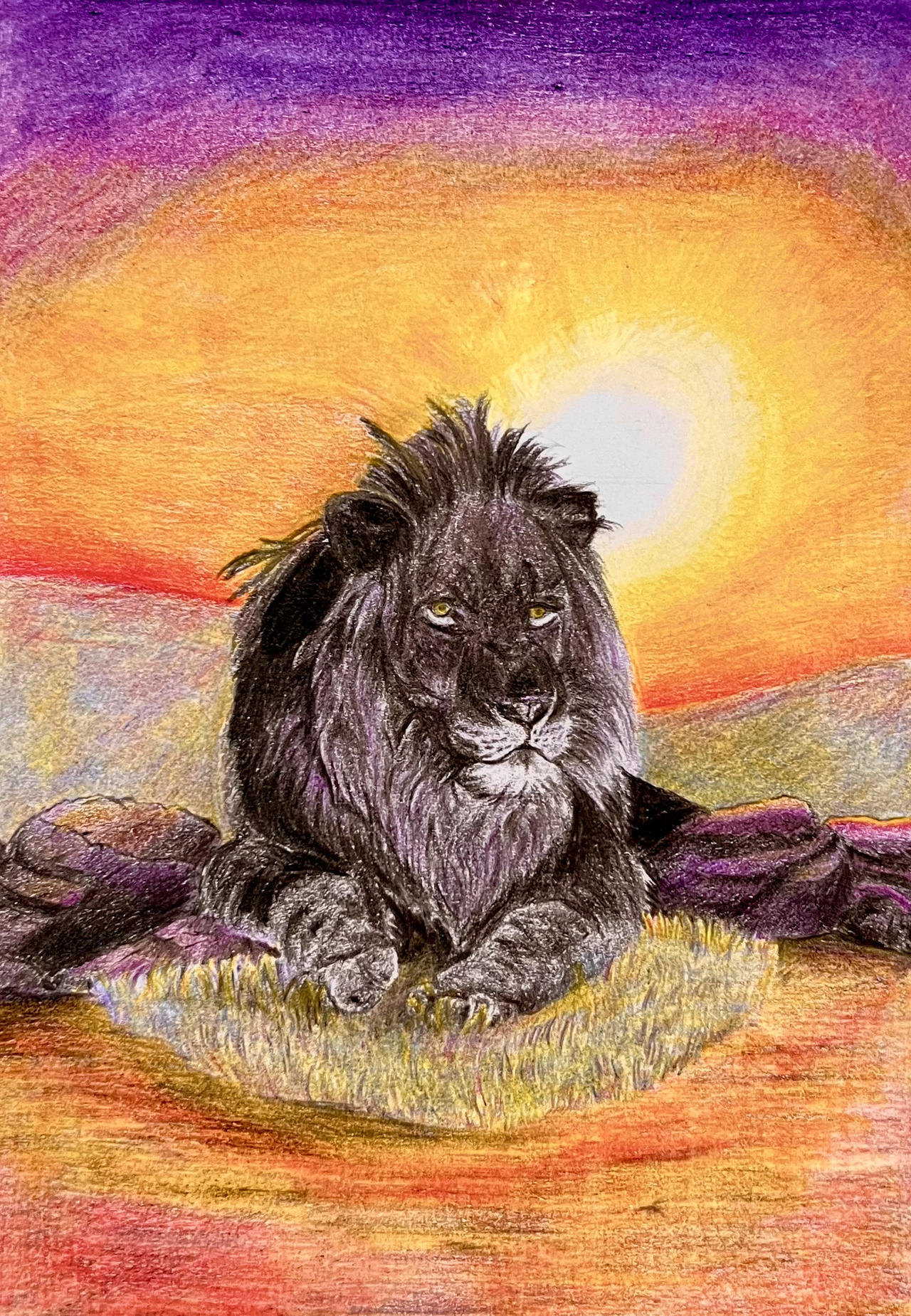 Black Lion under the sun
